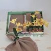 Kit Mesa Posta 4 Guardanapos e 4 Argolas Orquídeas